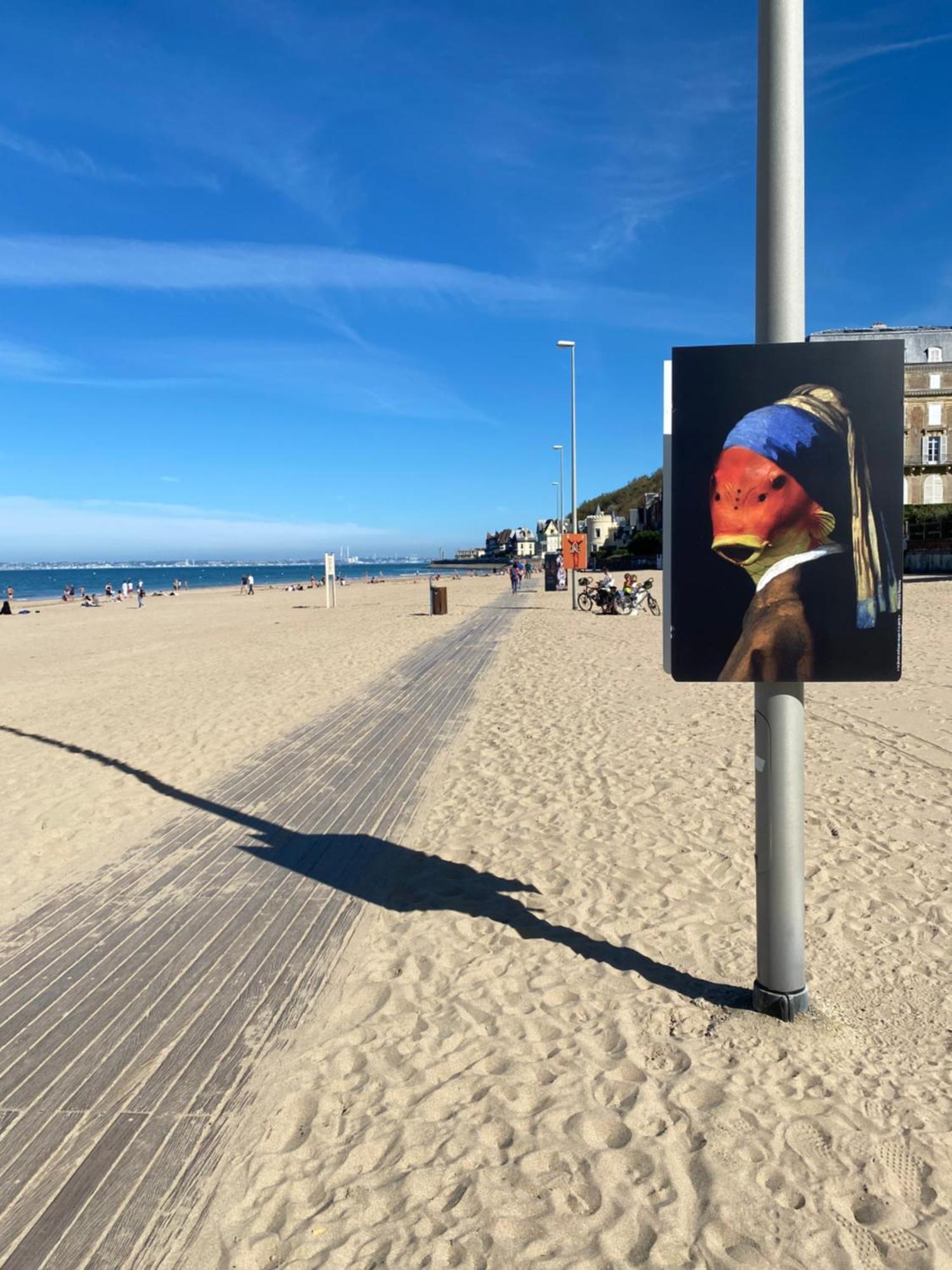 Cote Plage - Magnifique Appartement De Charme A Trouville Sur Mer - Linge - Lit Fait - Parking - Wifi - Classe Par L'Office Du Tourisme מראה חיצוני תמונה